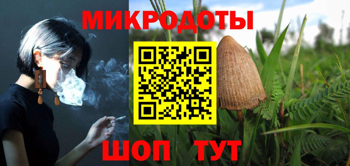 Галлюциногенные грибы Psilocybe Азов