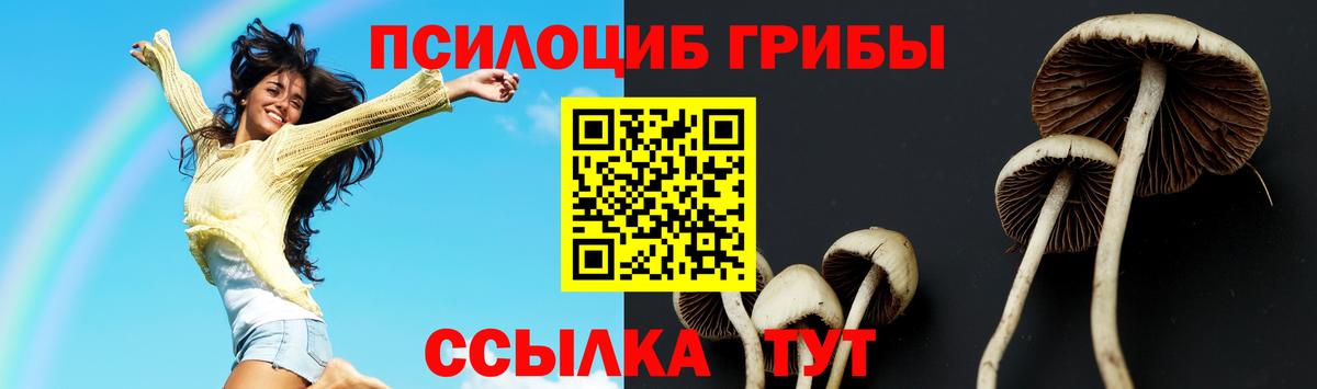 Псилоцибиновые грибы ЛСД  Вход с VPN  Азов  купить  цена  Псилоцибиновые грибы Psilocybe 