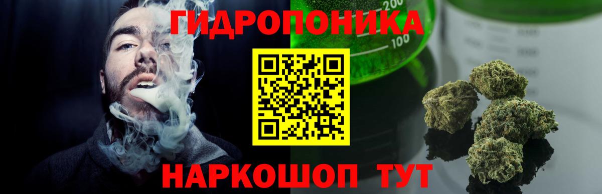 Бошки Шишки планчик Азов